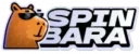 SpinBara